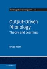 Output-Driven Phonology: Theory and Learning