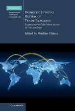 Domestic Judicial Review of Trade Remedies: Experiences of the Most Active WTO Members