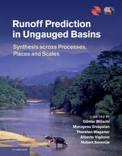 Runoff Prediction in Ungauged Basins