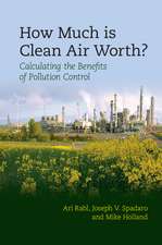 How Much Is Clean Air Worth?