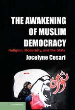 The Awakening of Muslim Democracy: Religion, Modernity, and the State