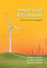 Smart Grid (R)Evolution: Electric Power Struggles