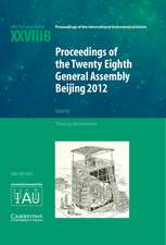 Proceedings of the Twenty-Eighth General Assembly Beijing 2012: Transactions of the International Astronomical Union XXVIIIB