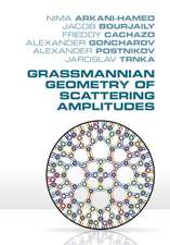 Grassmannian Geometry of Scattering Amplitudes