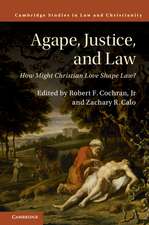 Agape, Justice, and Law: How Might Christian Love Shape Law?