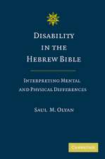 Disability in the Hebrew Bible: Interpreting Mental and Physical Differences