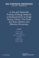 In-Situ and Operando Probing of Energy Materials at Multiscale Down to Single Atomic Column - The Power of X-Rays, Neutrons and Electron Microscopy: Volume 1262