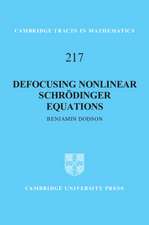 Defocusing Nonlinear Schrödinger Equations