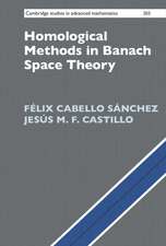 Homological Methods in Banach Space Theory