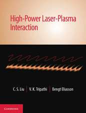 High-Power Laser-Plasma Interaction