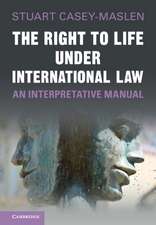 The Right to Life under International Law: An Interpretative Manual