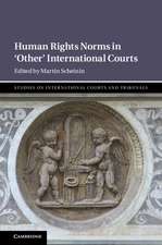 Human Rights Norms in ‘Other' International Courts