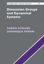 Dimension Groups and Dynamical Systems