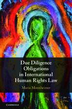 Due Diligence Obligations in International Human Rights Law