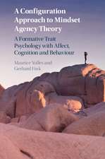 A Configuration Approach to Mindset Agency Theory