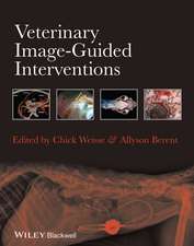 Veterinary Image–Guided Interventions