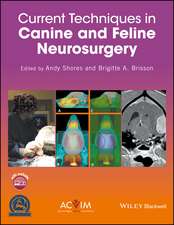 Current Techniques in Canine and Feline Neurosurgery