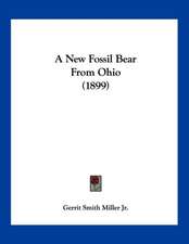 A New Fossil Bear From Ohio (1899)