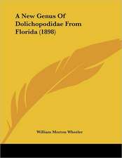 A New Genus Of Dolichopodidae From Florida (1898)