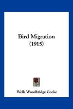 Bird Migration (1915)