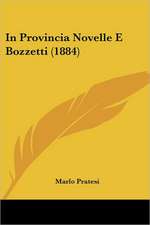 In Provincia Novelle E Bozzetti (1884)