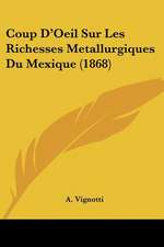 Coup D'Oeil Sur Les Richesses Metallurgiques Du Mexique (1868)