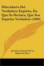 Dilucidario Del Verdadero Espiritu, En Que Se Declara, Que Sea Espiritu Verdadero (1604)