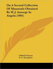 On A Second Collection Of Mammals Obtained By W. J. Ansorge In Angola (1905)