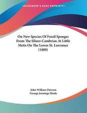 On New Species Of Fossil Sponges From The Siluro-Cambrian At Little Metis On The Lower St. Lawrence (1889)