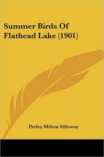 Summer Birds Of Flathead Lake (1901)