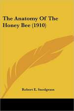 The Anatomy Of The Honey Bee (1910)