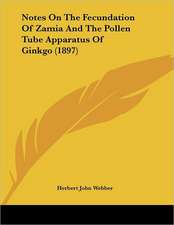 Notes On The Fecundation Of Zamia And The Pollen Tube Apparatus Of Ginkgo (1897)