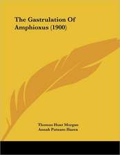 The Gastrulation Of Amphioxus (1900)