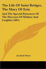 The Life Of Saint Bridget, The Mary Of Erin