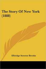 The Story Of New York (1888)