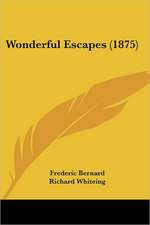 Wonderful Escapes (1875)