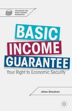 Basic Income Guarantee