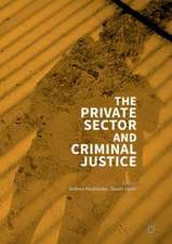 The Private Sector and Criminal Justice