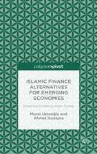 Islamic Finance Alternatives for Emerging Economies: Empirical Evidence from Turkey