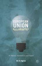 The European Union Illuminated: Its Nature, Importance and Future