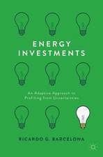 Energy Investments: An Adaptive Approach to Profiting from Uncertainties