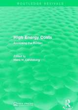 High Energy Costs: Assessing the Burden