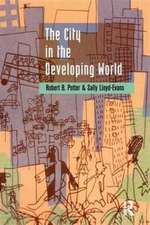 The City in the Developing World