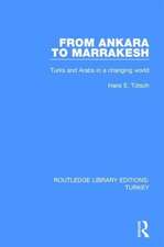 From Ankara to Marakesh: Turks and Arabs in a changing world