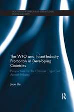 The WTO and Infant Industry Promotion in Developing Countries: Perspectives on the Chinese Large Civil Aircraft