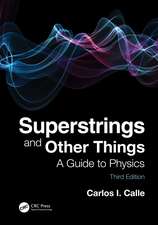 Superstrings and Other Things: A Guide to Physics