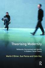 Theorising Modernity: Reflexivity, Environment & Identity in Giddens' Social Theory