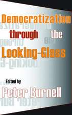 Democratization Through the Looking-glass