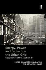 Energy, Power and Protest on the Urban Grid: Geographies of the Electric City