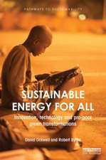 Sustainable Energy for All: Innovation, technology and pro-poor green transformations